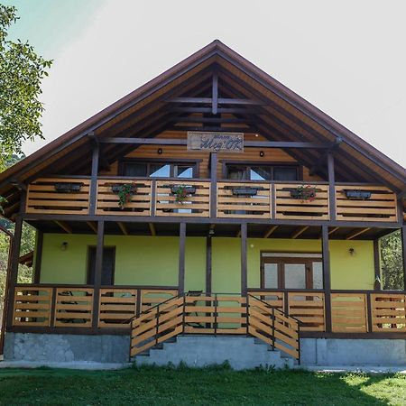 ויז'ניציה Villa Med'Ok מראה חיצוני תמונה