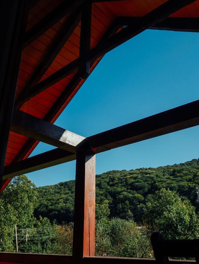 ויז'ניציה Villa Med'Ok מראה חיצוני תמונה